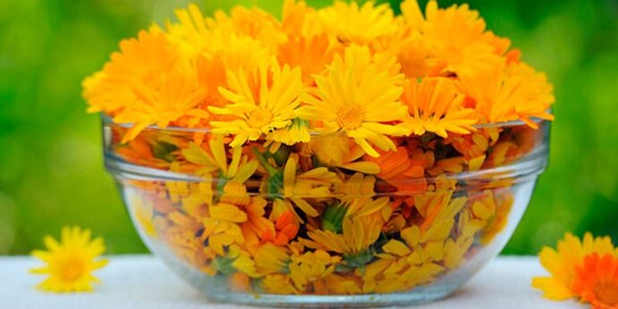 Calendula flowers to prepare antifungal infusion.