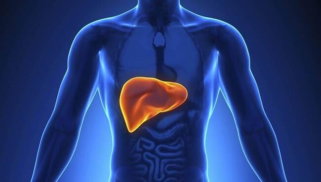 Systemic antifungals place a greater burden on the liver.