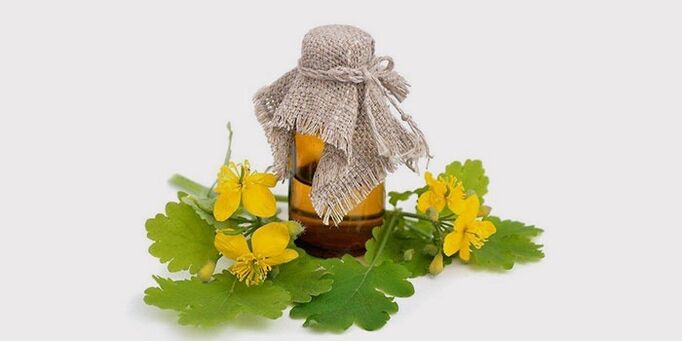 celandine oil for foot fungus